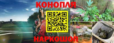 прущие грибы Дубна