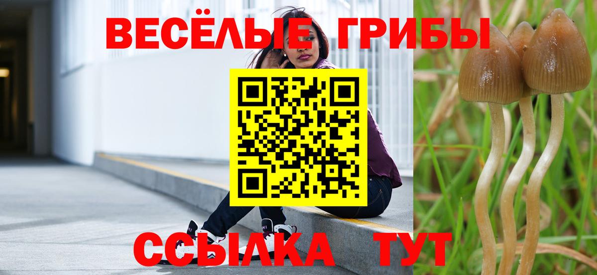 Тында  Псилоцибиновые грибы GOLDEN TEACHER  Вход с VPN 