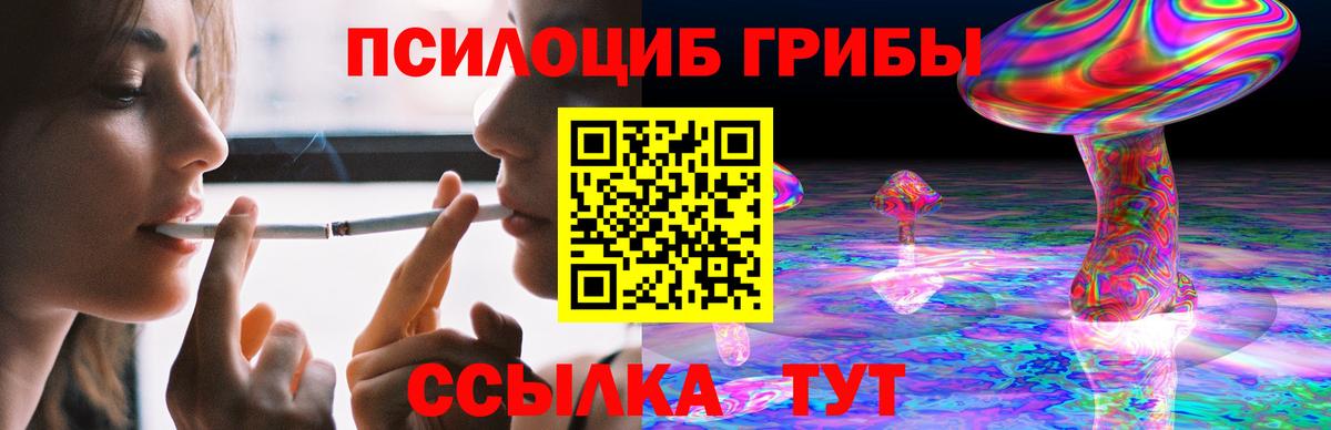 Псилоцибиновые грибы мухоморы Тында
